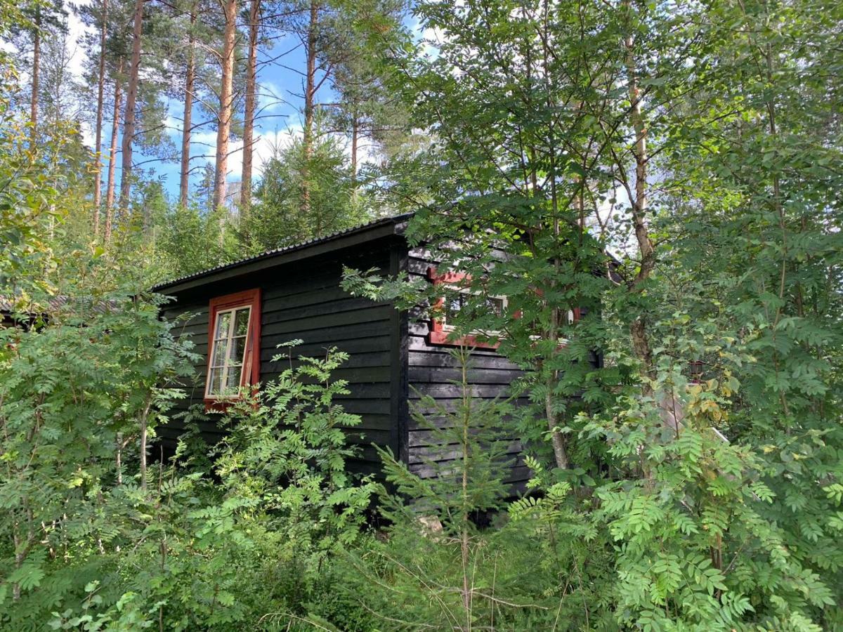 Fossumsanden Camping Og Hytter Fyresdal Екстериор снимка